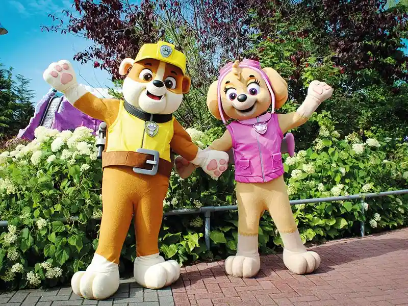 Meet the PAW Patrol!